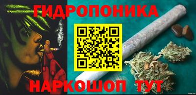 стафф Кандалакша