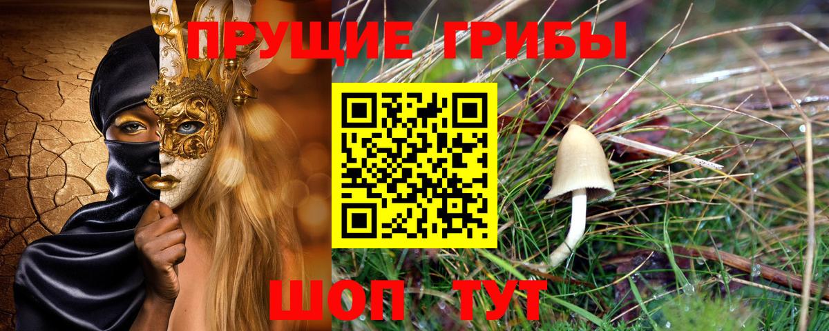 Гатчина  Галлюциногенные грибы ЛСД  Вход с VPN 